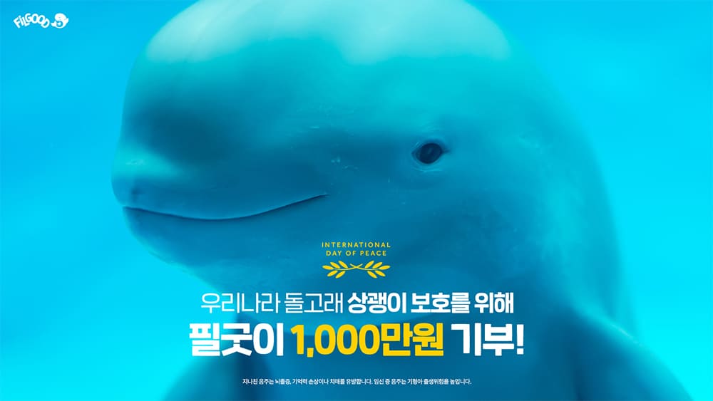우리나라 돌고래 상괭이 보호를 위해 필굿이 1,000원 기부